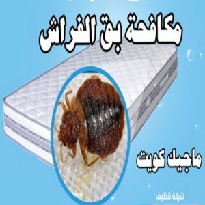 مكافحة بق مكافحة حشرات الجهراء - مكافحة حشرات وقوارض الجهراء - الاتصال 91111288 - شركة حشرات - شركة مكافحة حشرات - مكافحة بق - مكافحة قوارض - مكافحة حشرات الكويت