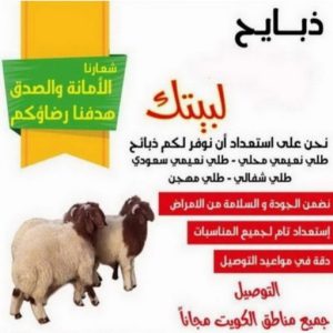 ذبائح 4499 قصاب - قصاب متنقل - بالكويت 60777317 - ذبايح - ذبائح الكويت - غنم للبيع - اغنام للبيع - ذبايح للبيع - غنم - سوق غنم - اغنام عربي للبيع - جزار - ذبائح