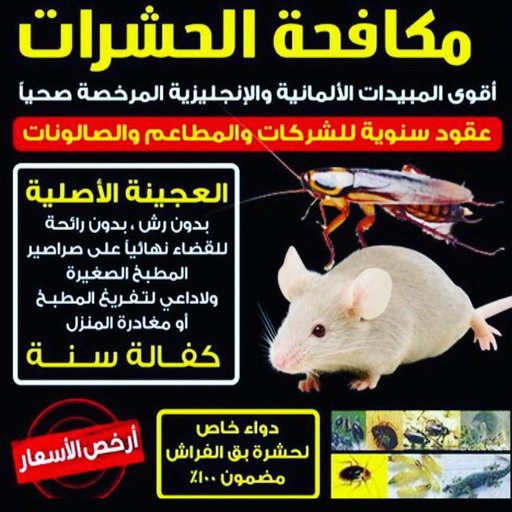 مكافحة قوارض - مكافحة حشرات وقوارض - الاتصال 50464050 - شركة حشرات - مكافحة حشرات - شركة مكافحة حشرات - مكافحة بق - مكافحة حشرات الكويت 1 مكافحة قوارض - مكافحة حشرات وقوارض - الاتصال 50464050 - شركة حشرات - مكافحة حشرات - شركة مكافحة حشرات - مكافحة بق - مكافحة حشرات الكويت